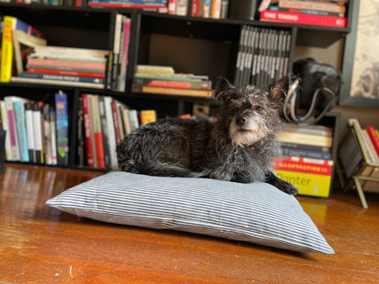 Railroad Journey Pet Pillow